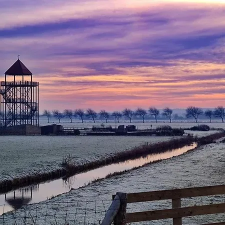 2 Huizen Naast Elkaar Honden Welkom Omheinde Tuin Sauna Buitenbad 10 Personen ヴィラ Dirkshorn